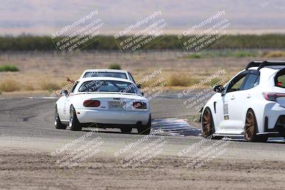 media/Oct-04-2025-OnGrid (Sat) [[44bd565ffa]]/Purple Group/Grapevine/